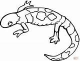 Spotted Yellow Lizard Drawing Coloring Clipart sketch template