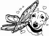 Whippet Greyhound Genny sketch template