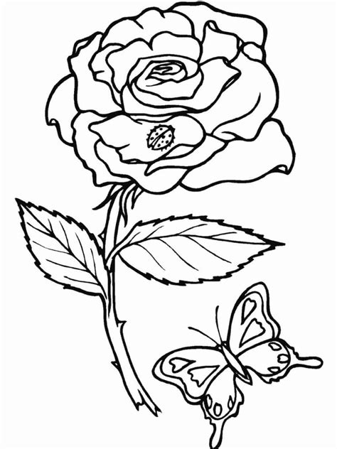 butterfly  flower coloring pages  adults insect coloring pages