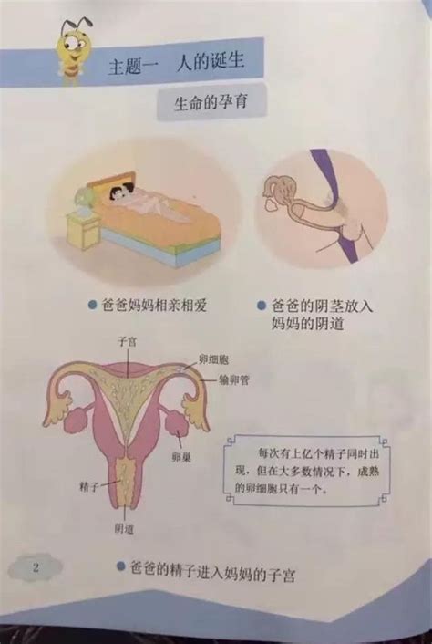 China S New Informative Sex Education Textbooks Cause