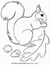 Squirrel Coloring Template Fall Animals Pages Animal Printable Kittens Three Little Drawing Google Popular Autumn Patterns Craft Getdrawings Choose Board sketch template