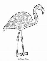 Coloring Mandala Flamingo Animal Pages sketch template