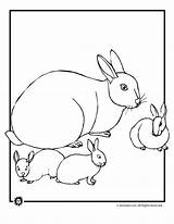 Coloring Bunny Pages Baby Print Activities Kids sketch template