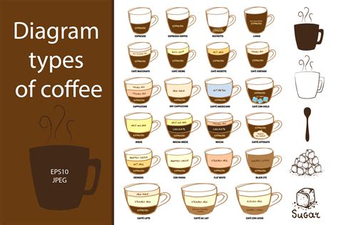 diagram types  coffee illustrations  creative market