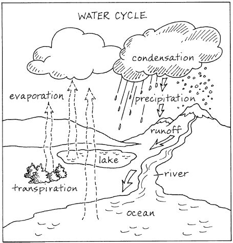 water cycle worksheets elementary cycle sadie marie cook