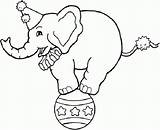 Elefante Tiere Malvorlage Malvorlagen Preschool Balancing Kleurplaten Equilibrista Elephants Skim Gs sketch template