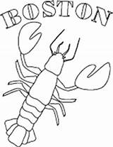Coloring Boston Lobster Adult Pages Line Books Designs Massachusetts Color Sports Red Sox sketch template