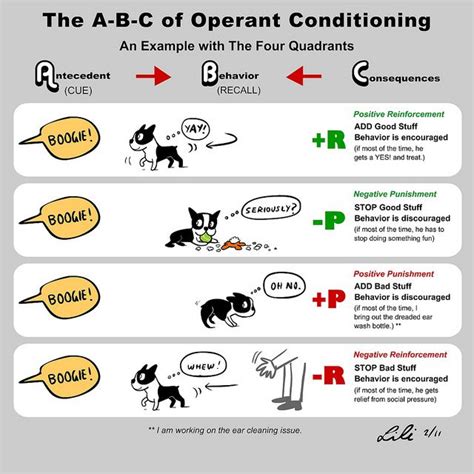 abc  quadrants operant conditioning operant conditioning positive reinforcement dog dog