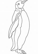 Penguins Penguin sketch template