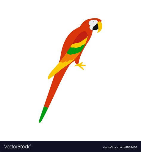 Macaw Orange Parrot