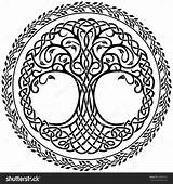 Celtic Tree Life Vector Drawing Border Mandala Round Line Shutterstock Ornament Decorative Baum Floral Yggdrasil Tattoo La Vida Symboler Viking sketch template