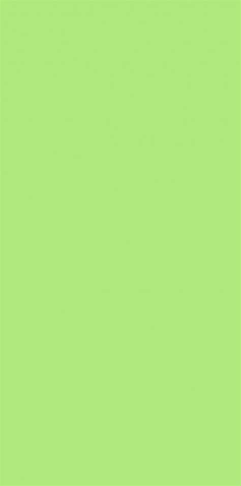 pin  tech fan  iphone wallpaper green backgrounds color