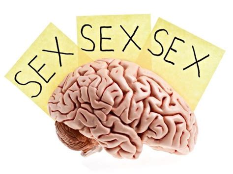 Textos Funcionales Mapa Mental Amostra Porn Sex Picture
