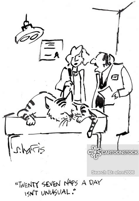 cat nap cartoons and comics funny pictures from cartoonstock
