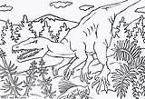 Coloring Herrerasaurus Pages Animal Prehistoric Sea sketch template