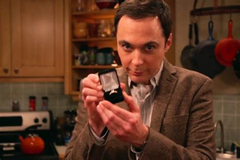 The Big Bang Theory Season 9 Episode 14 Will Air On 4