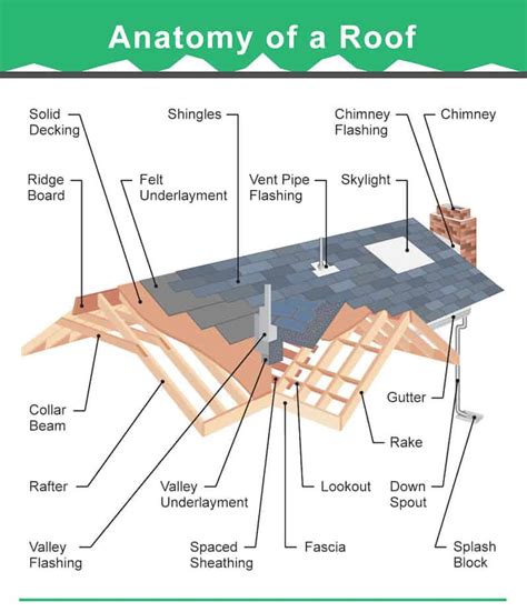 types  roofs styles  houses illustrated roof design examples