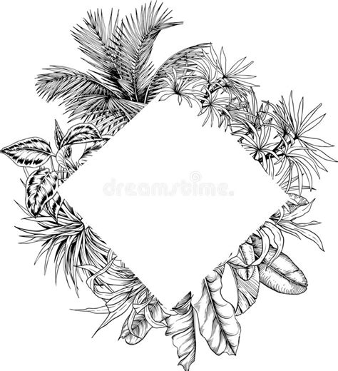 tropical palm leaves card template stock vector illustration