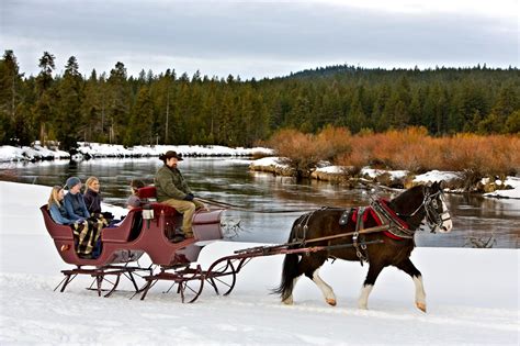 winter horse drawn carriage ride  oregon  pure magic