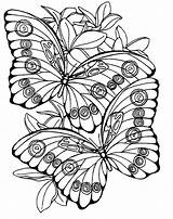 Coloring Pages Large Print Adults Adult Printable Color Getcolorings Butterfly Spring Getdrawings sketch template