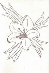Lily Tattoo Drawing Flower Designs Lilies Spider Drawings Tattoos Easter Pad Draw Outline Meaning Stargazer Pads Water Getdrawings Flowers Near sketch template