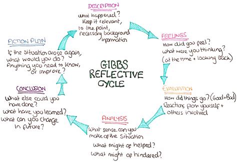 gibbs reflective cycle aidbap