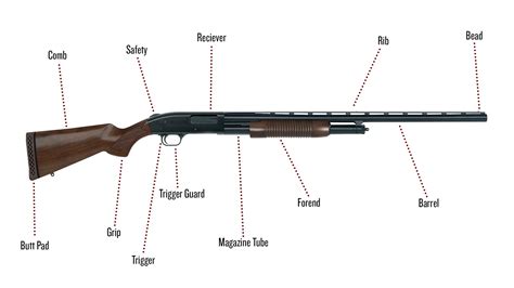 parts   shotgun  complete guide afield daily