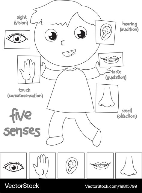 senses coloring pages   goodimgco