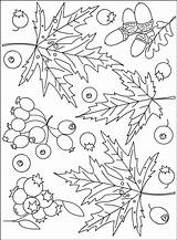 Coloring Pages Autumn Nicole Fall September Florian Adult Printable Book Created Colored Mandala Saturday Drawing Color sketch template