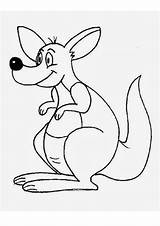 Coloring Pages Kangaroo sketch template
