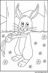 Hase Ausmalbilder Malvorlage Hasen Ausmalbild Kaninchen Beste Source Ando sketch template