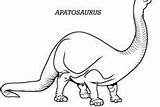 Apatosaurus Coloring Pages Beautiful sketch template
