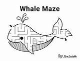 Mazes Maze Printable sketch template