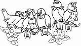 Disegni Uccelli Colorare Primavera Bambini Coloratutto Questa sketch template