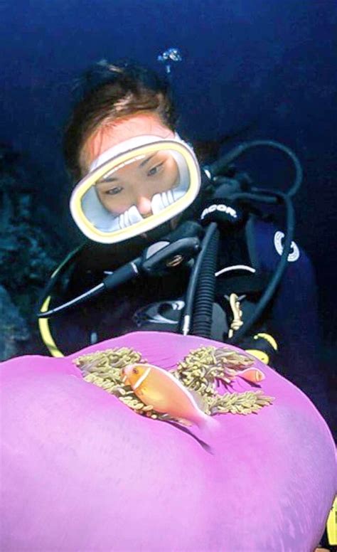 idea by shane l on scuba diving scuba girl scuba diving