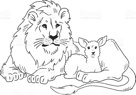 sketch   lion laying   lamb lion  lamb drawings art