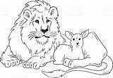 Lion Lamb Clipart Laying Sketch Down March Clip Drawings Coloring Drawing Lying Pages Line Hires Clipground Vector Pixgood Paintingvalley Collection sketch template