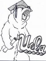 Ucla Bear Worksheets Doodle Result Google sketch template