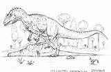 Megaraptor Indominus Kolorowanki Druku Dinosaurs Deinonychus sketch template