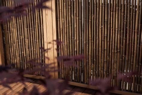 bamboescherm  douglaslijst reijmer sierbestrating