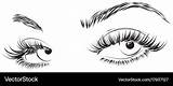 Drawing Eyes Eyelashes Female Long Vector Royalty sketch template