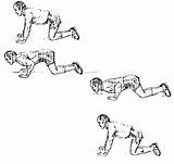 Modified Pushups Exercises Selection Exercise sketch template