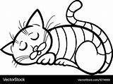 Sleeping Cat Coloring Cartoon Vector Royalty sketch template