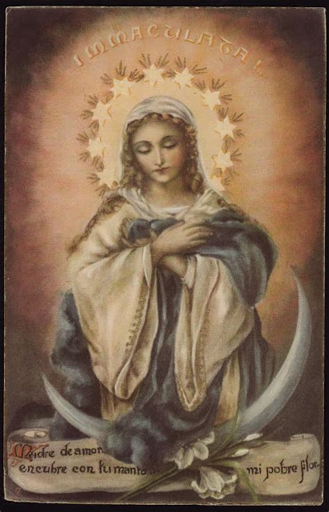 act of consecration to the immaculate a blog for dallas area catholics