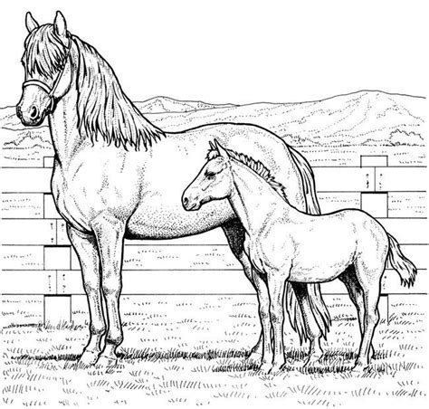 pin  coloring fun  horses horse coloring horse coloring pages