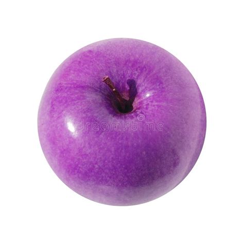 isolated purple apple stock photo image