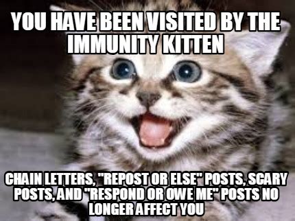 meme creator funny   immunity cat    favorite