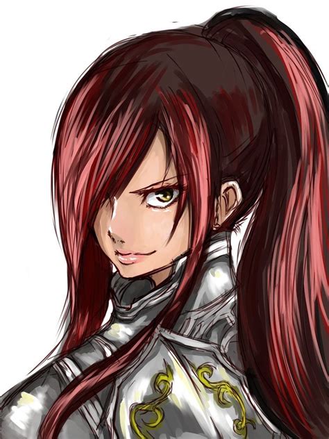 pin  recycling  erza scarlet fairy tail girls erza scarlet