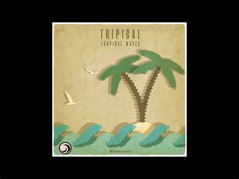 tripical tripical official youtube