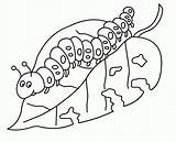 Coloring Pages Hungry Caterpillar Very Toad City sketch template
